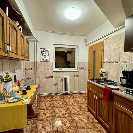 Joy Ultracentral Appartement Timişoara