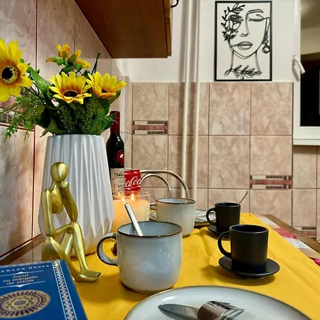 Appartement Joy Ultracentral Timişoara