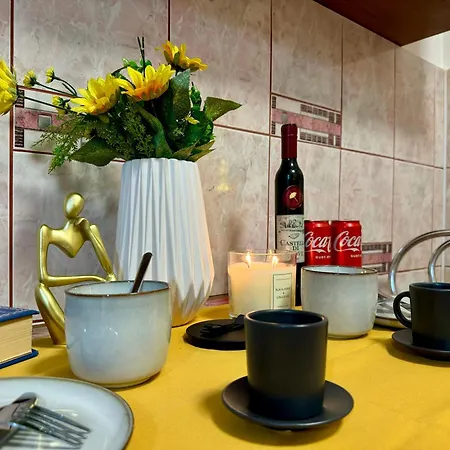 Joy Ultracentral Appartement Timişoara