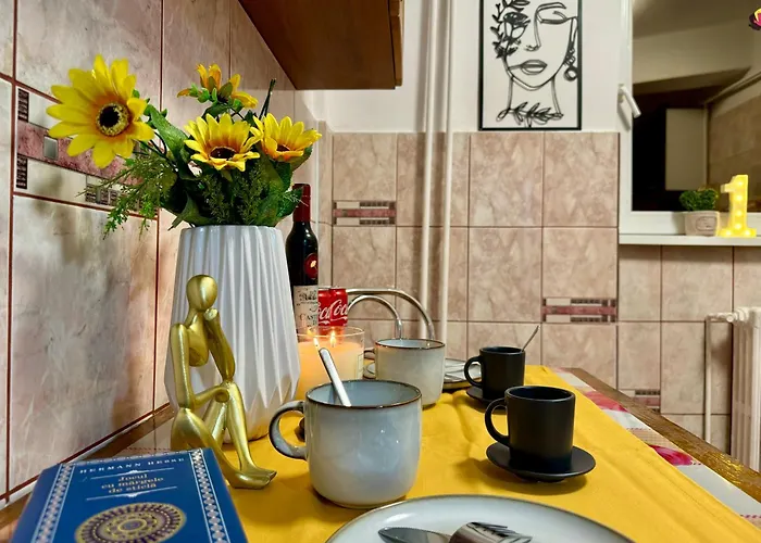 דירה Joy Ultracentral טימישוארה