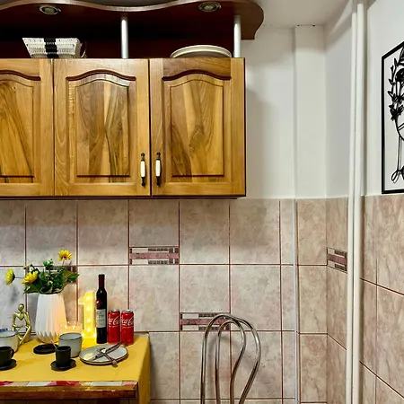 Joy Ultracentral Apartamento Timişoara